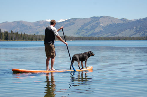 How to Choose the Perfect SUP Paddle at NRS.com